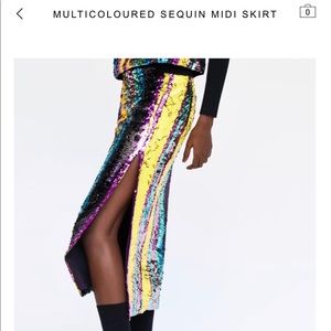 ZARA Sequin Midi Skirt